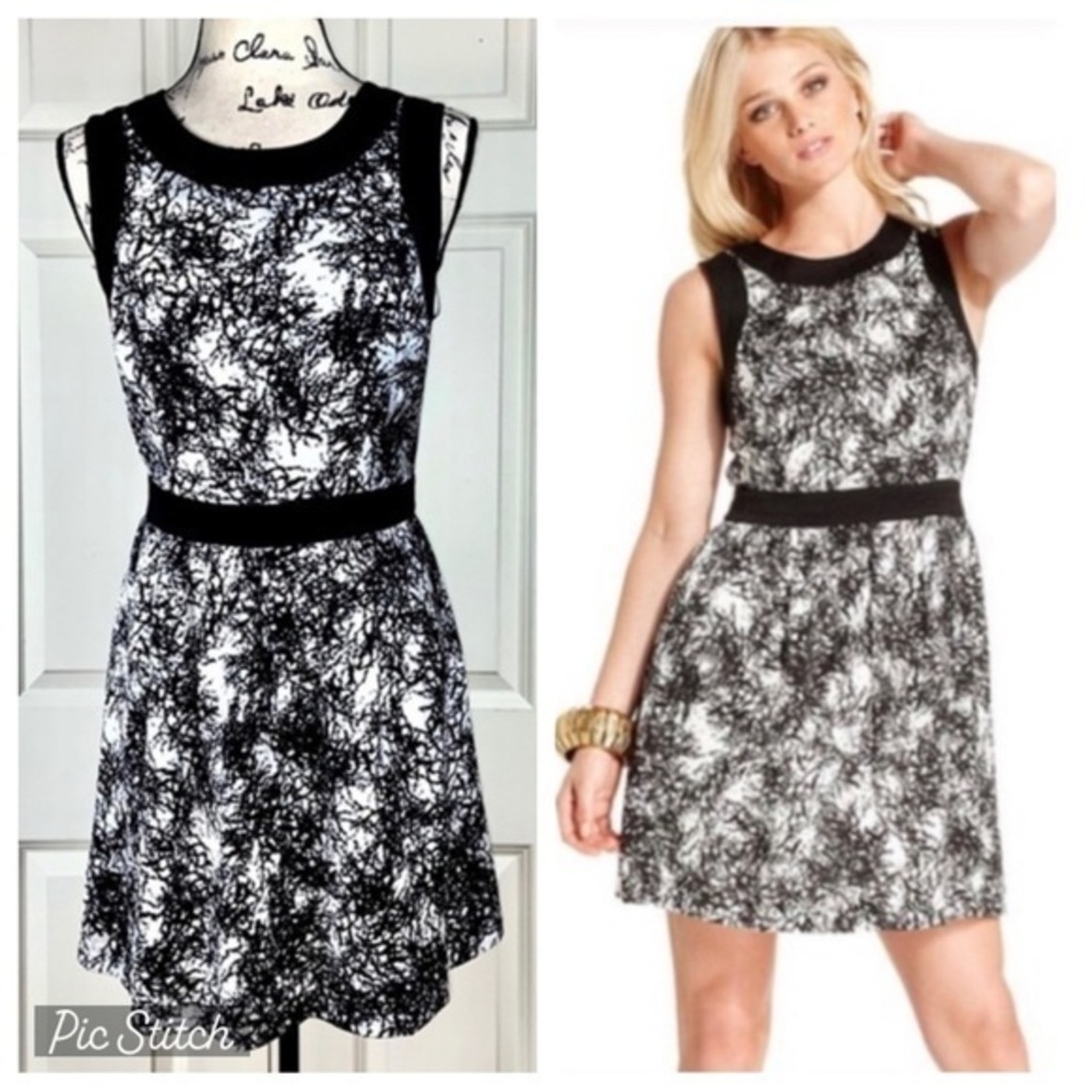 Kensie A-Line Colorblock Print Dress
